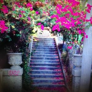 Meet your Posher, Adrine